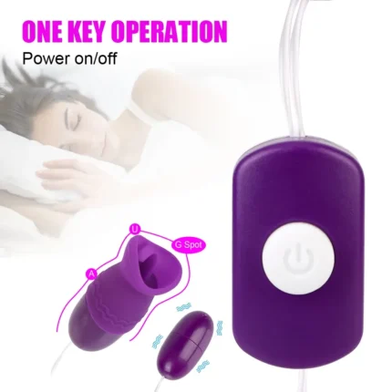 Plug And Play Two Vibrators A